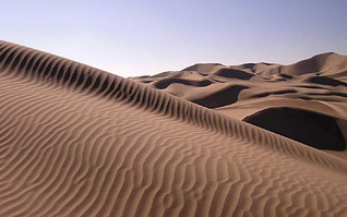 landscape6