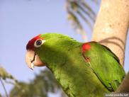 peru0302.jpg