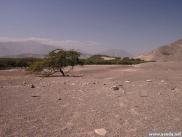 peru0304.jpg
