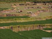 peru0305.jpg