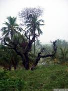 moza0417.jpg