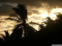 pict3624.jpg