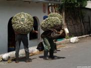 pa213996.jpg