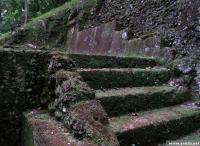 pa245204um.jpg