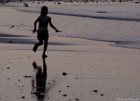 p2175637um.jpg