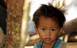 borneo1