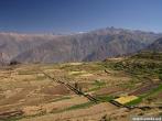 peru0309.jpg