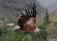pa170044ug.jpg