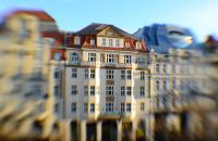 dsc_1161g.jpg